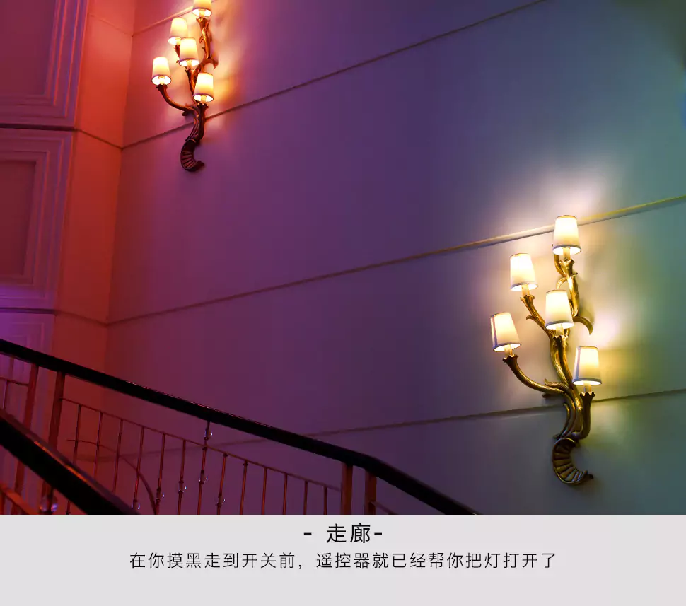 智能遥控灯泡